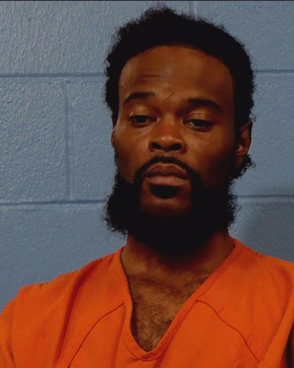 Mitchell, Brenton booking photo