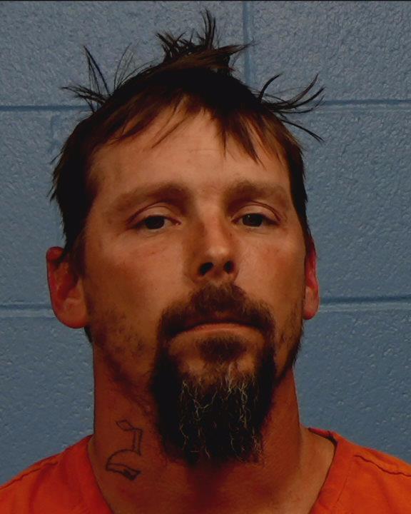 Mitchell, David M. arrested by Williamson County PD/SO