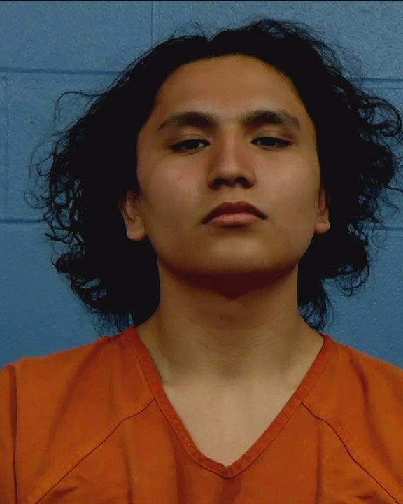 Ortega, Michael Ray arrested by Williamson County PD/SO