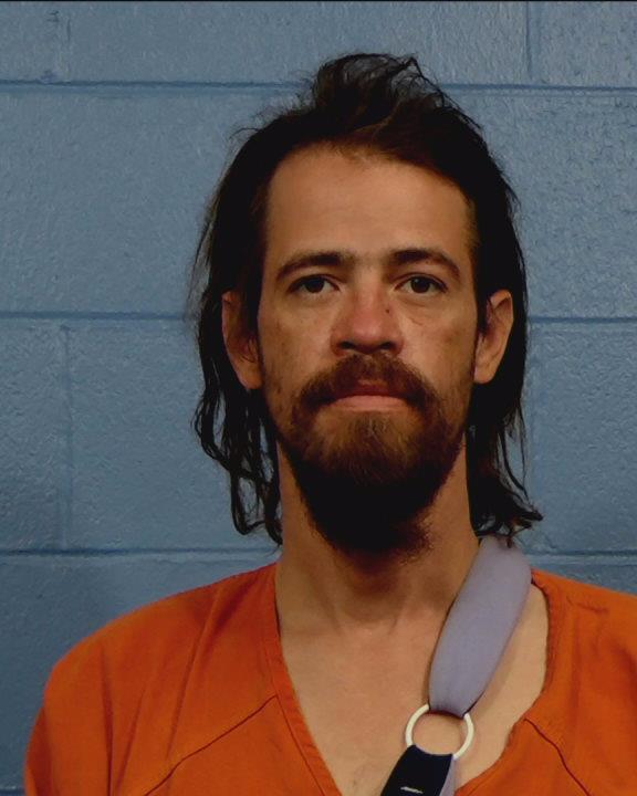 Johnson, Skylor Quenton arrested by Williamson County PD/SO