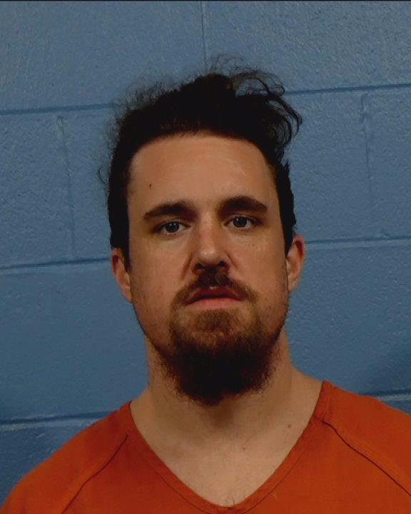 Steeg, Zachary James arrested by Williamson County PD/SO