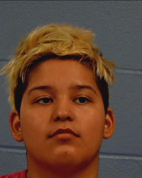 Rodriguez, Adamari booking photo