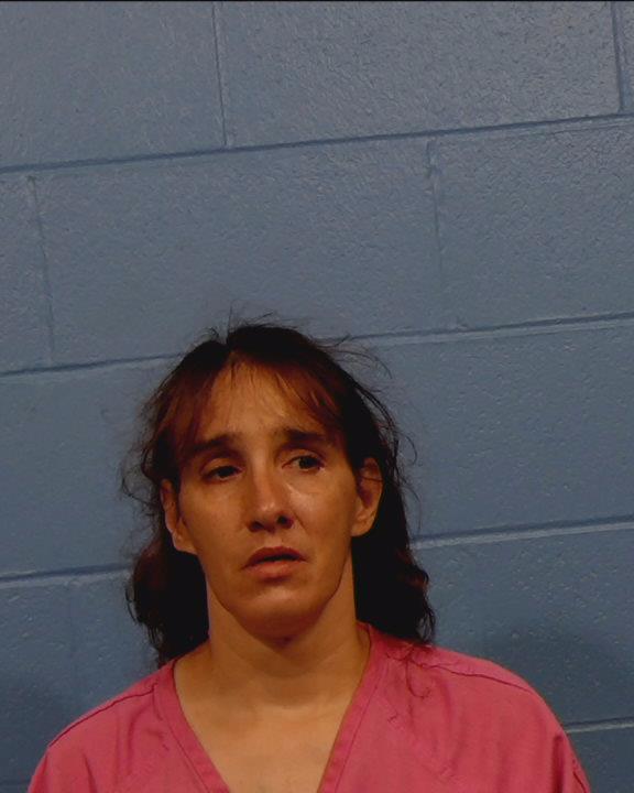 Zapfel, Corrine Lynn booking photo