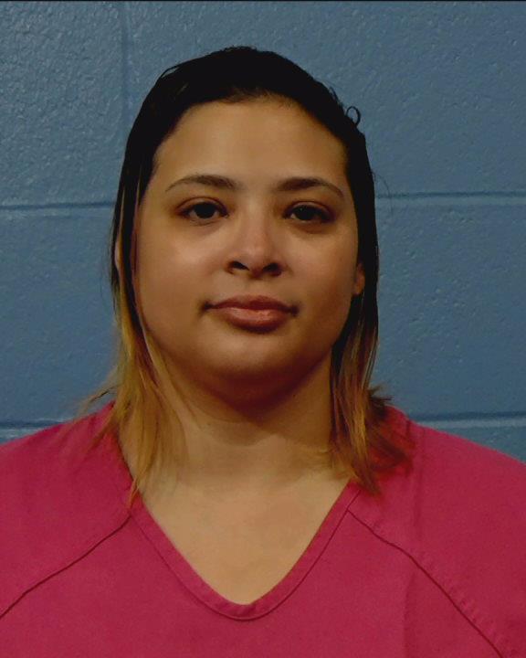 Fernandez-Guerrero, Anna Emilia booking photo