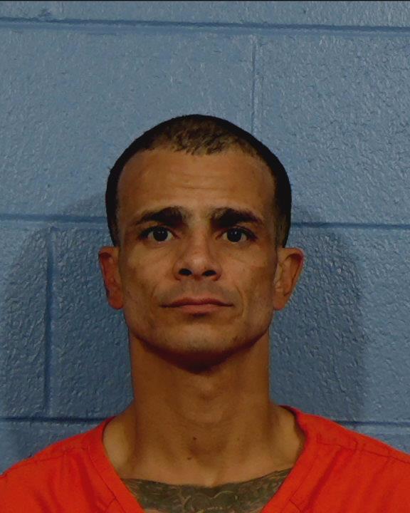 Anderson, Timothy Eugene arrested by Williamson County PD/SO