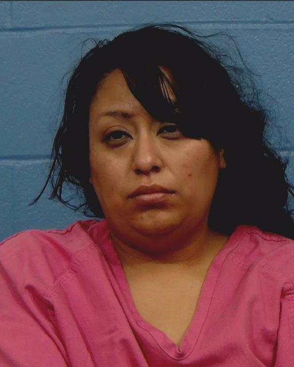 Ortega, Mirelle Ann booking photo