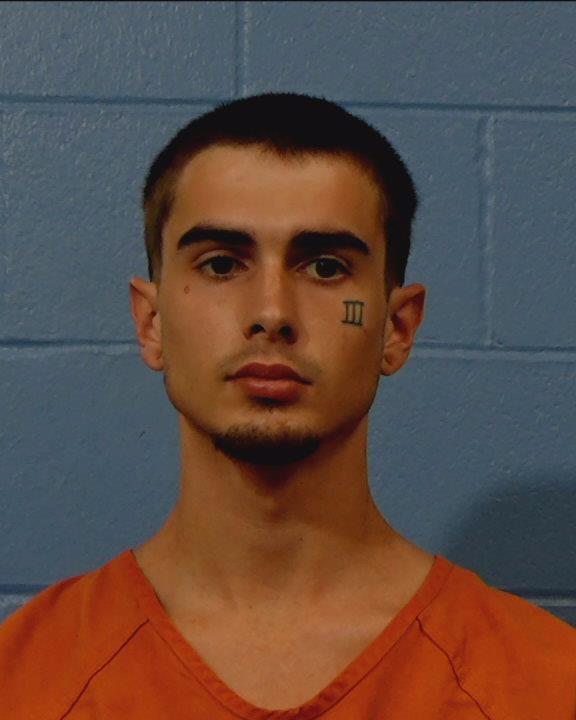 Odom, Alvin Dwaine arrested by Williamson County PD/SO