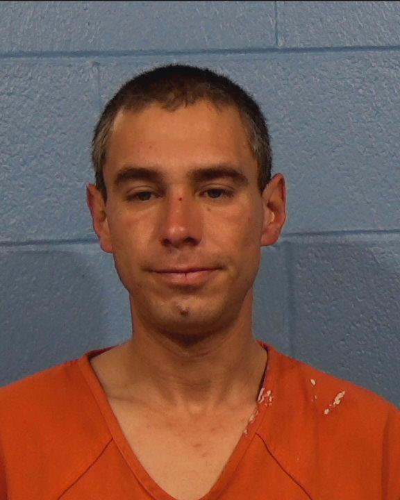 Girton, Walter Bruce booking photo