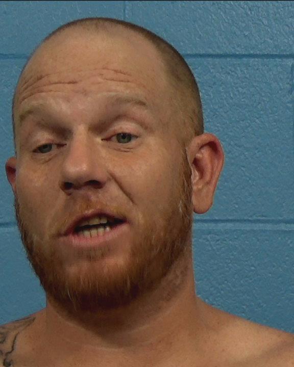 Gomillion, Brandon Paul arrested by Williamson County PD/SO