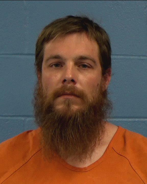 Alexander, Daniel Fieldmon arrested by Williamson County PD/SO