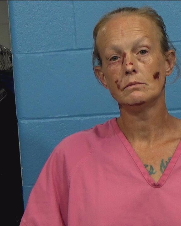 Hoopaugh, Danielle Christine Carter booking photo