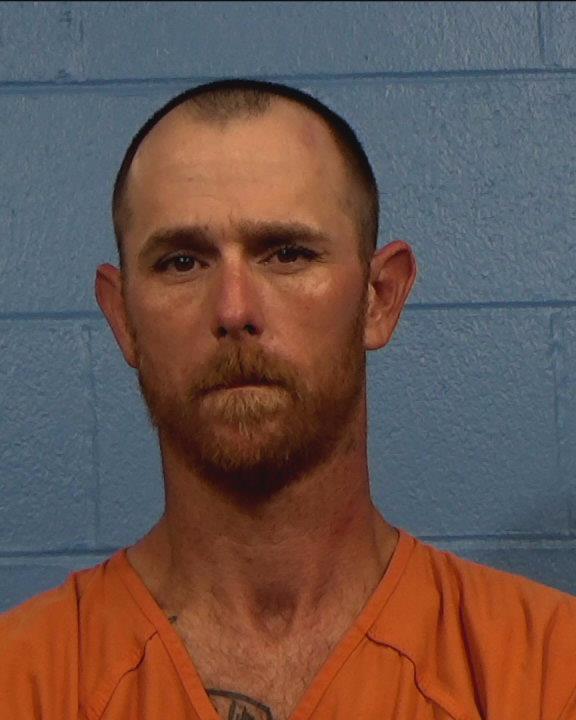 Lively, Steven Paul booking photo