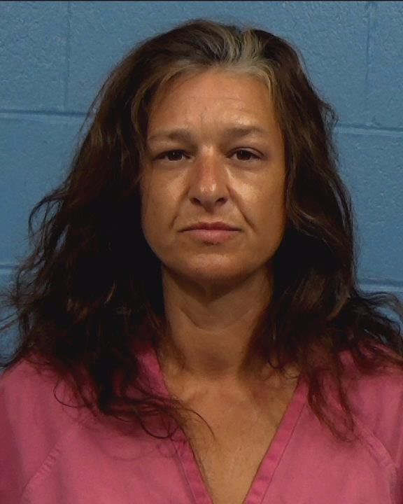 Star, Lisa Ann booking photo