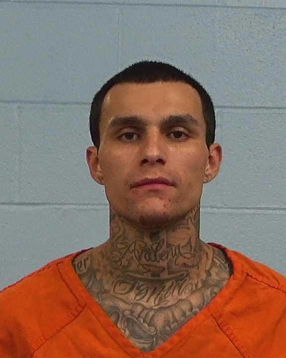 CZECHOROWSKI, CHRISTOPHER STEPHAN arrested by Williamson County PD/SO