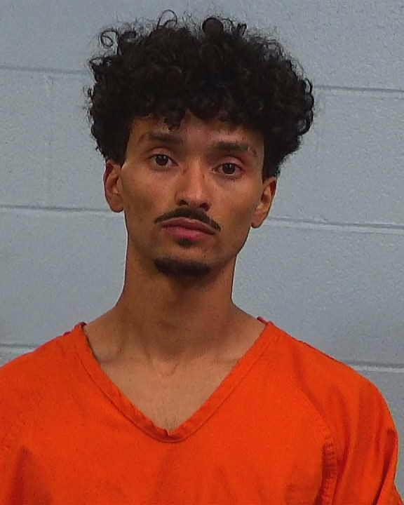 Wilson, Juan de niro booking photo