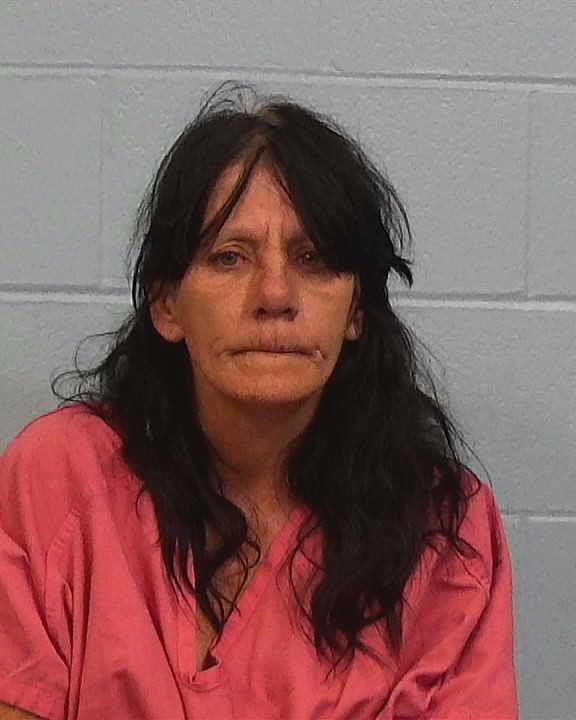 Potter, Lee Ann booking photo