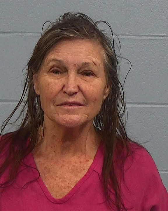 Sweetin, Susan Welch booking photo