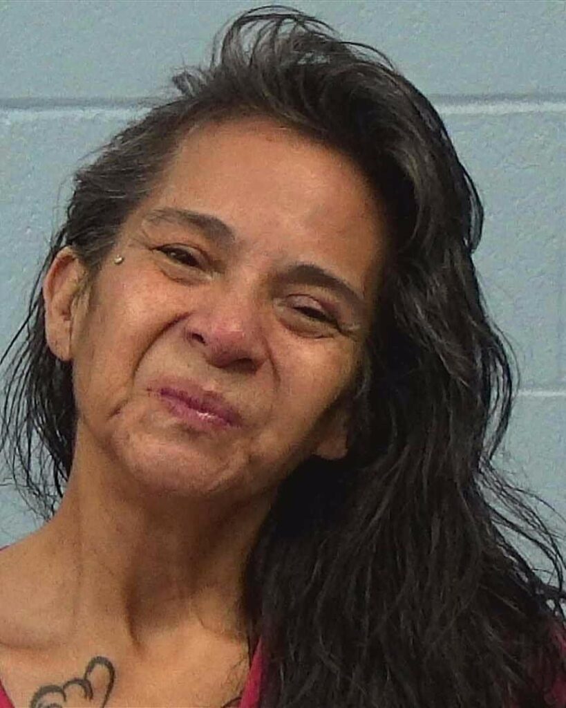 GOOSEBY, MICHELLE MARIE arrest record in Williamson County, Texas GOOSEBY, MICHELLE MARIE arrested in Williamson County, Texas mugshot