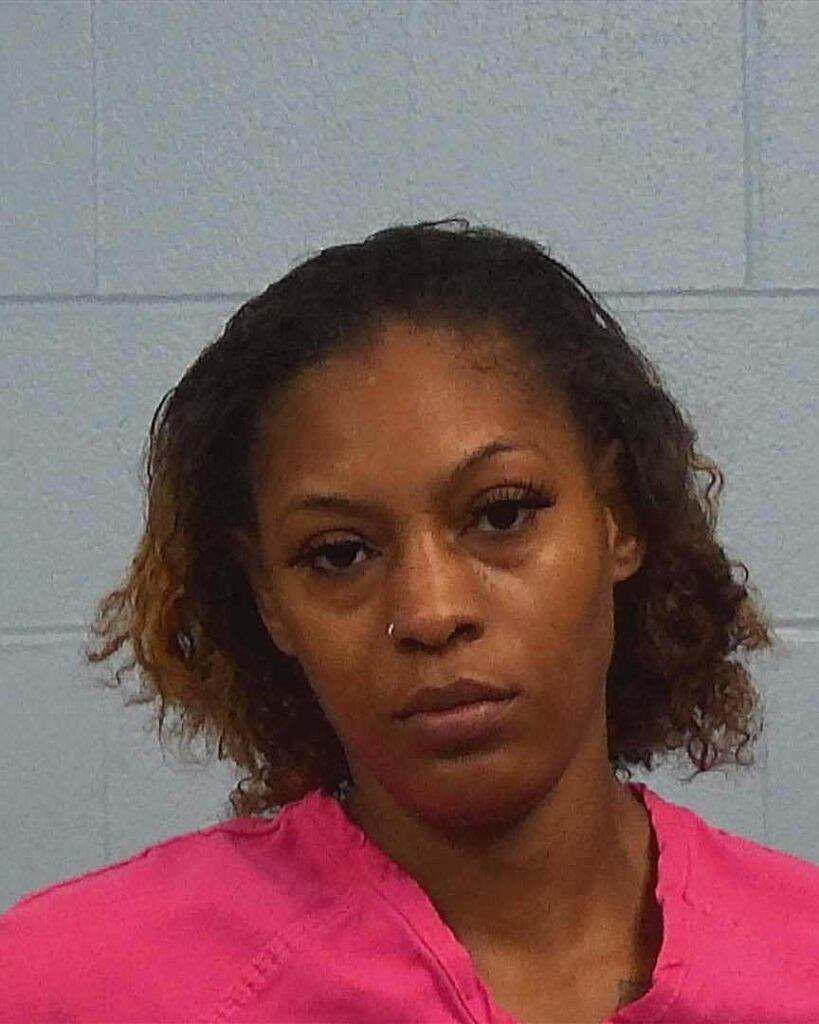 Williams, Darlissa Elizabeth arrested in Williamson County, Texas mugshot