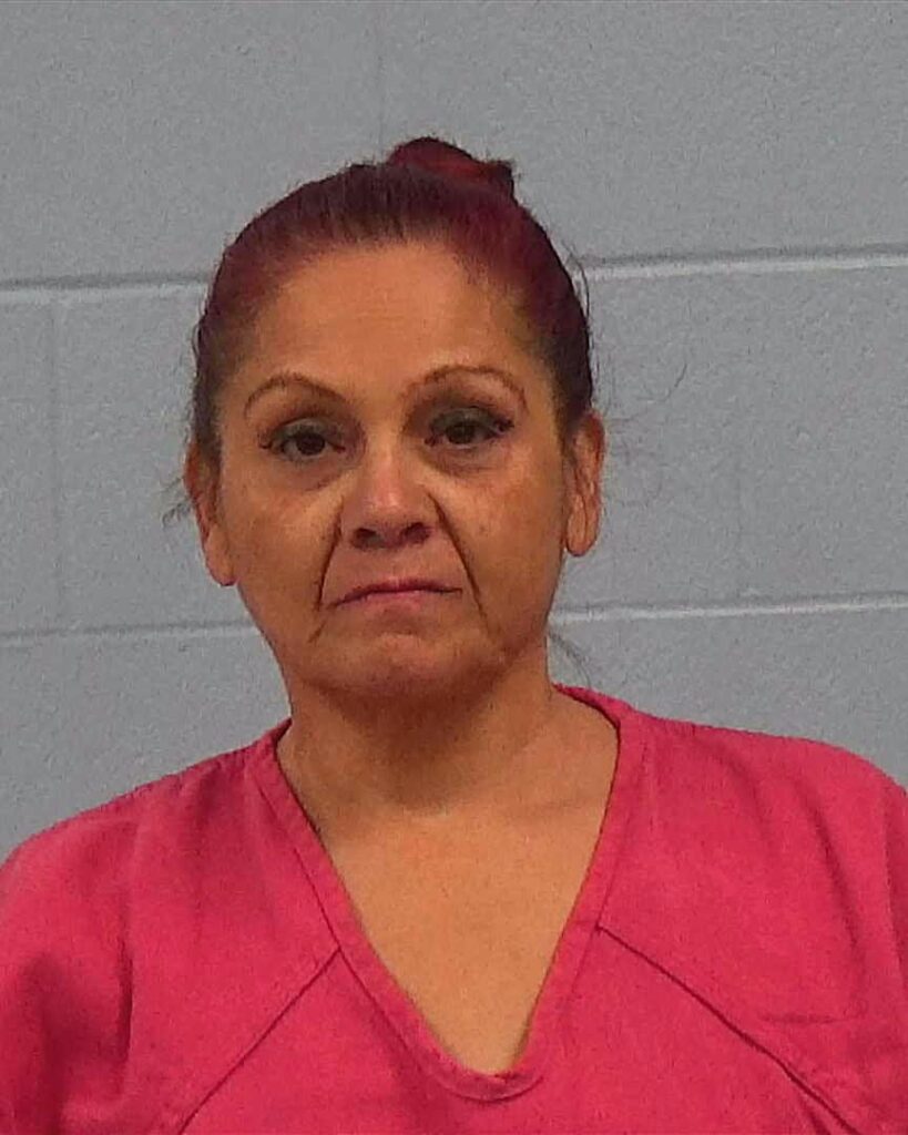 Lerma, Joann arrested in Williamson County, Texas mugshot