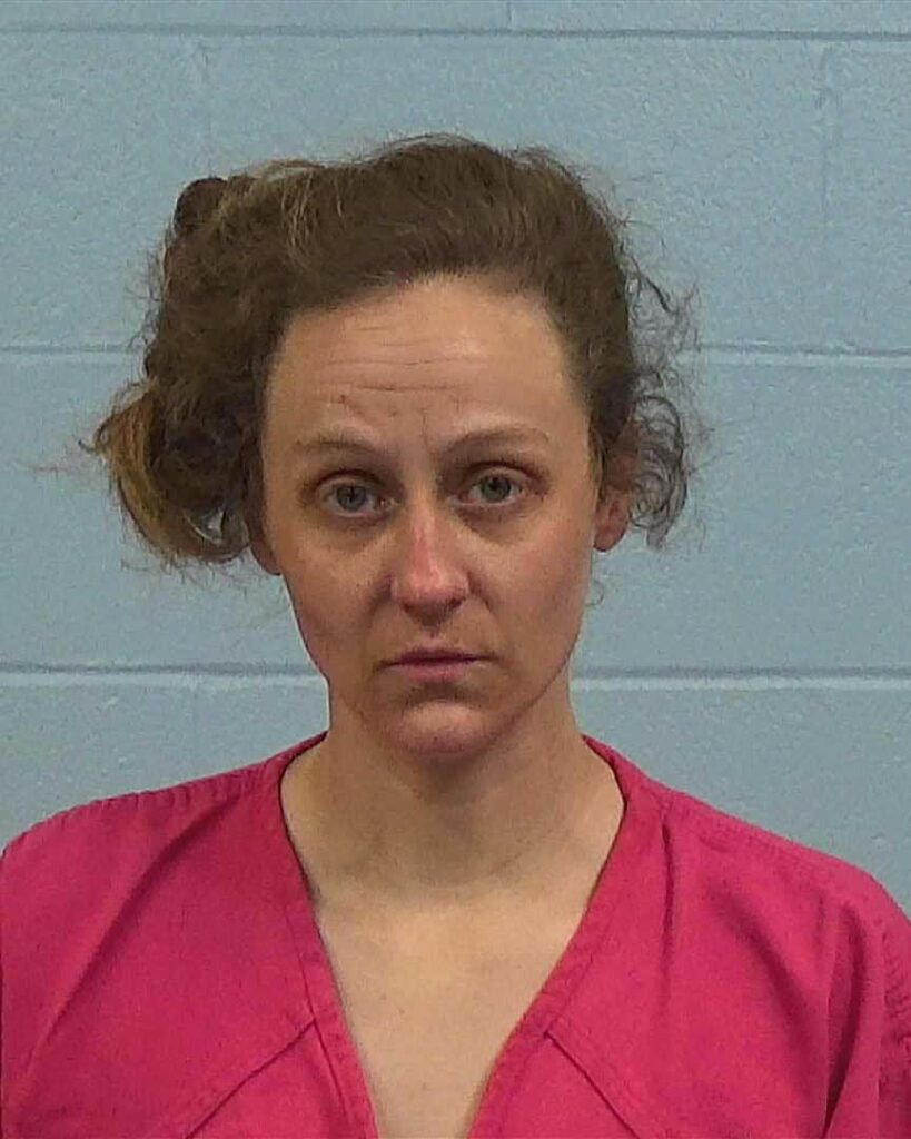 Petersen, Erin Elizabeth arrested in Williamson County, Texas mugshot