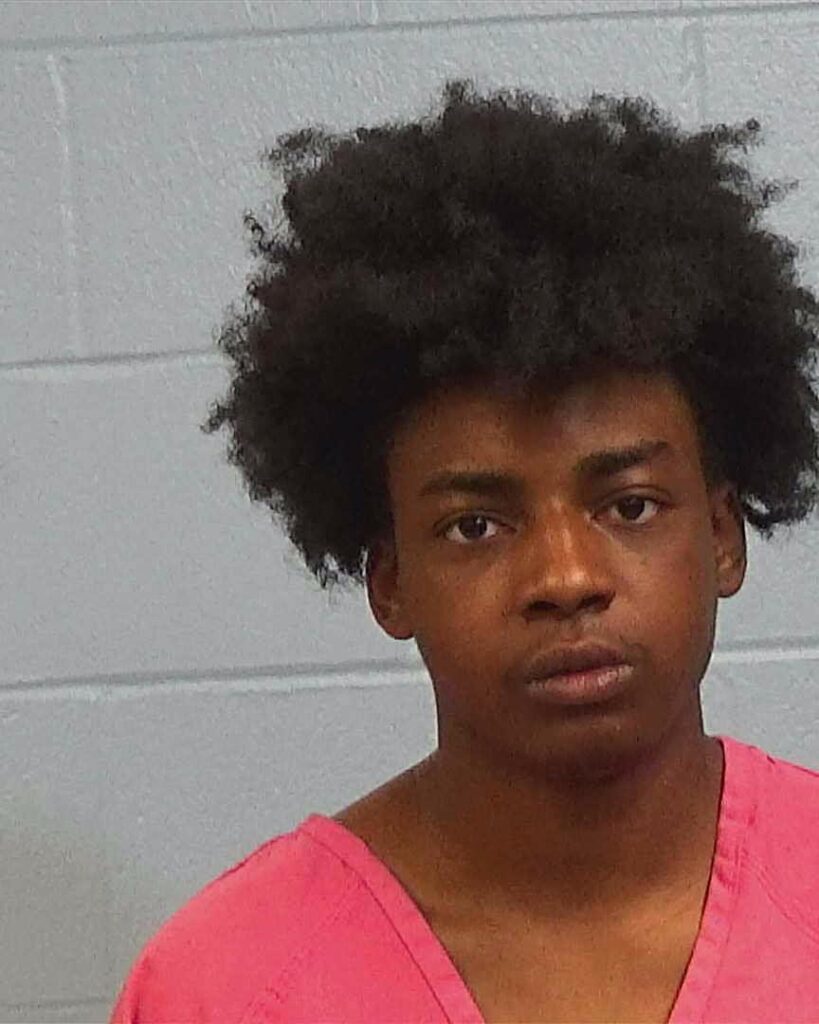 Young, Brionna Nicole arrested in Williamson County, Texas mugshot