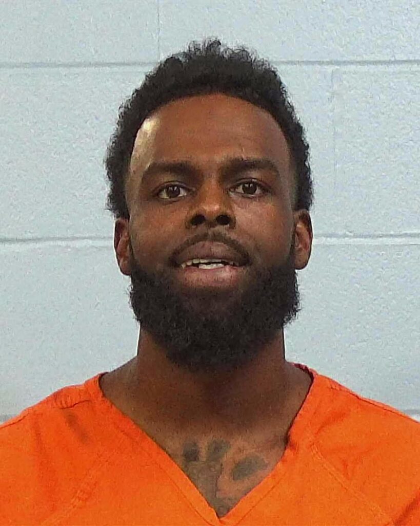 Dixon, Alex Lewis arrested in Williamson County, Texas mugshot