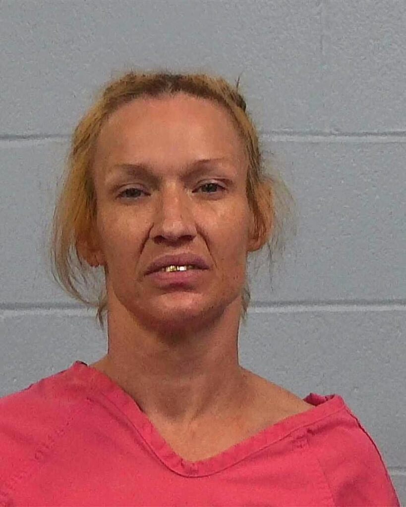 Price, Polly Lanea arrested in Williamson County, Texas mugshot