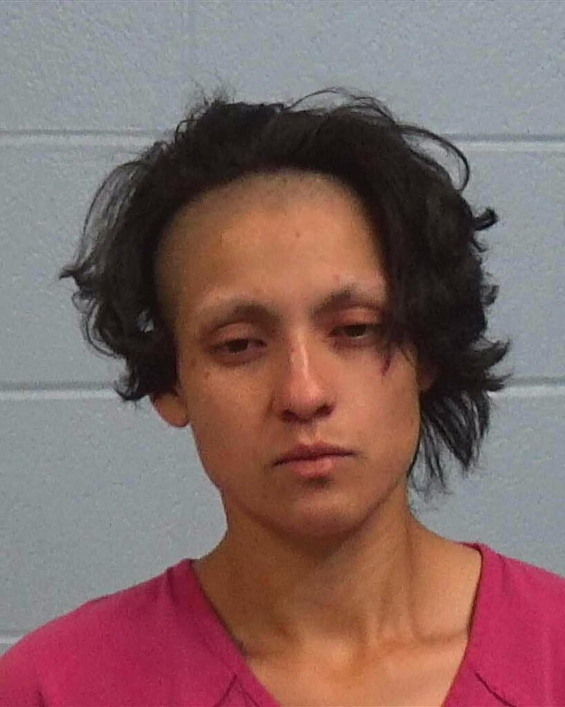 Moreno, Naomi Susan arrested in Williamson County, Texas mugshot