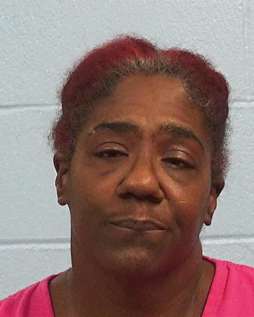 JOYCE, RITA ANN booking photo