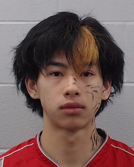 Diep, Aiden Tu booking photo