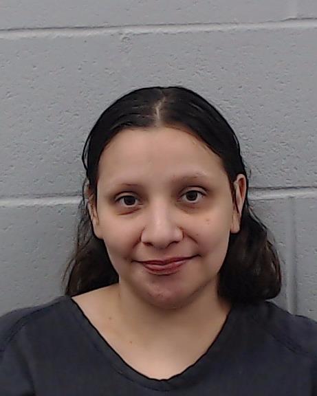 Castillo, Jannette booking photo