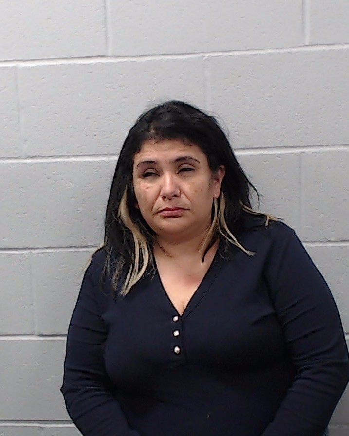 Castro, Connie Frances arrested by Hays County SO/PD