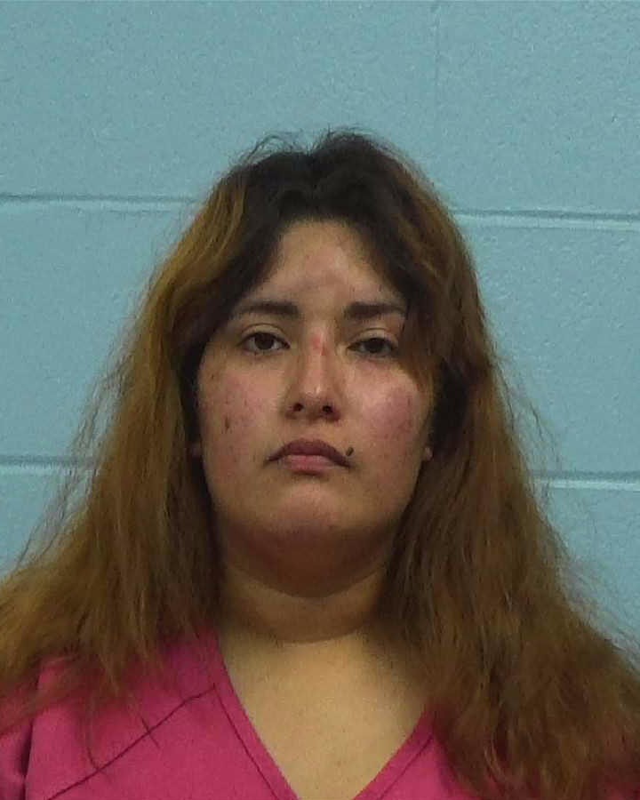 Ybarra, Dana booking photo