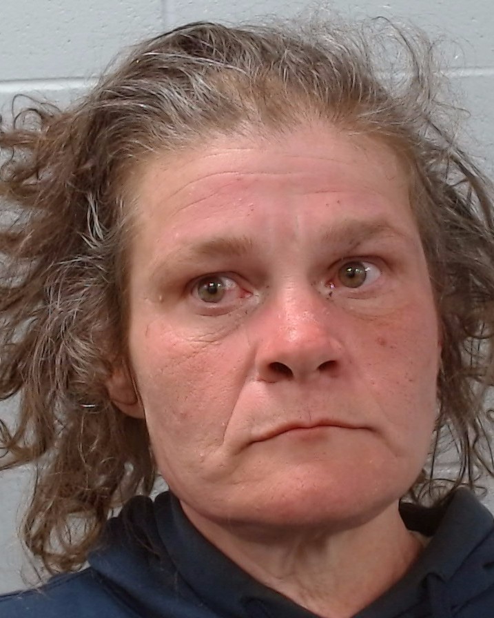 Davidson, Brandi Nicole booking photo