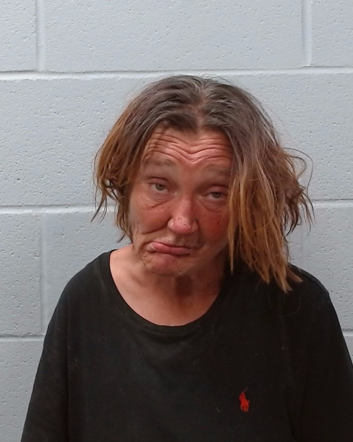 Wood, Cherie Denise booking photo