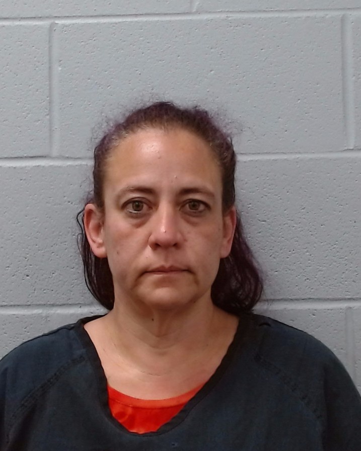 Mince, Karen Erika booking photo