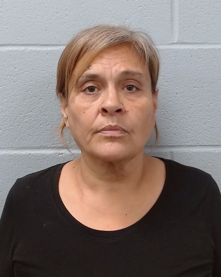 Aleman, Joanna booking photo