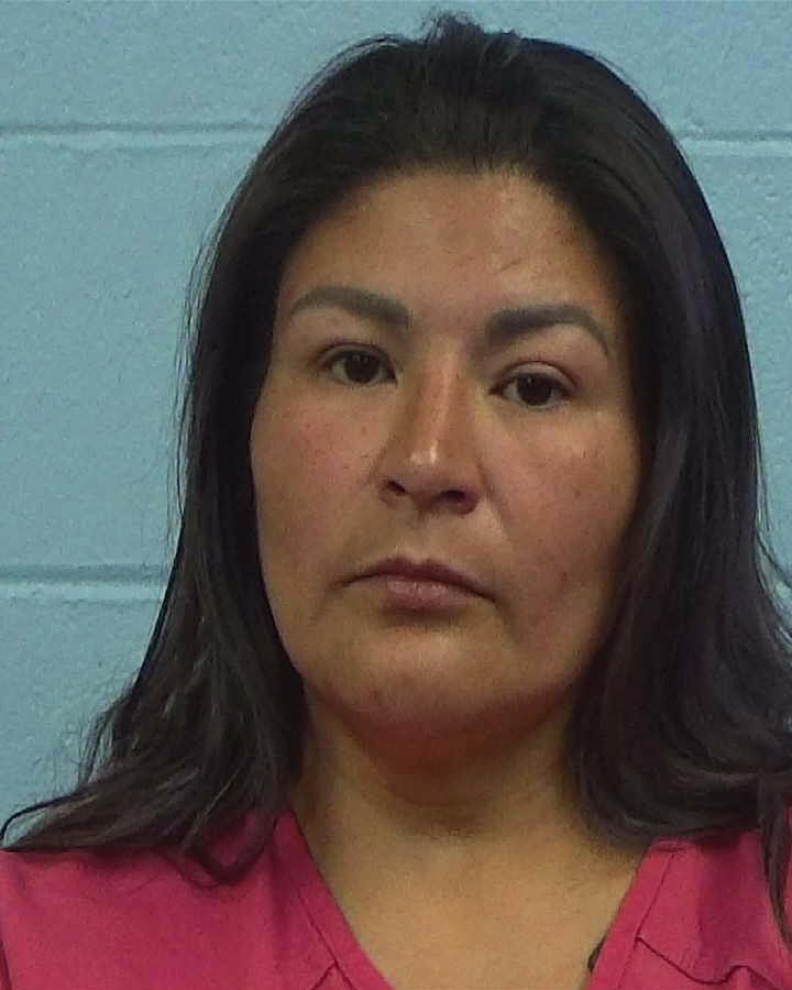 Honstein, Teresa Marie booking photo