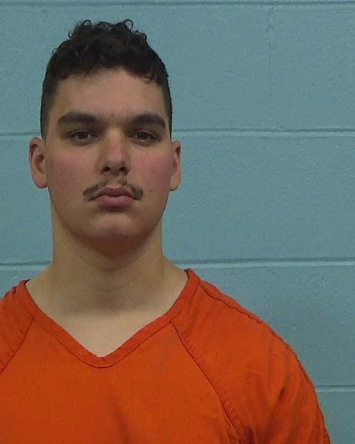 ROOT, JAMISON arrested by Williamson County PD/SO