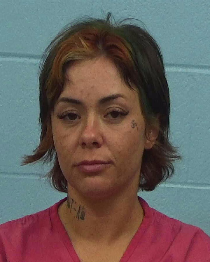 Bowlin, Ashlee Michaela arrested by Williamson County PD/SO