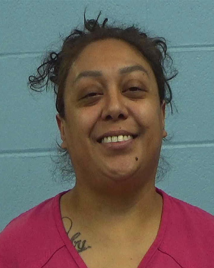 SOLIS, BRENDA booking photo