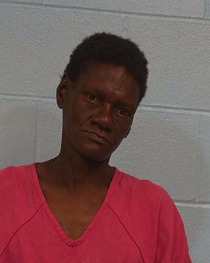 BROWNLOW, BRENDA BELINDA booking photo