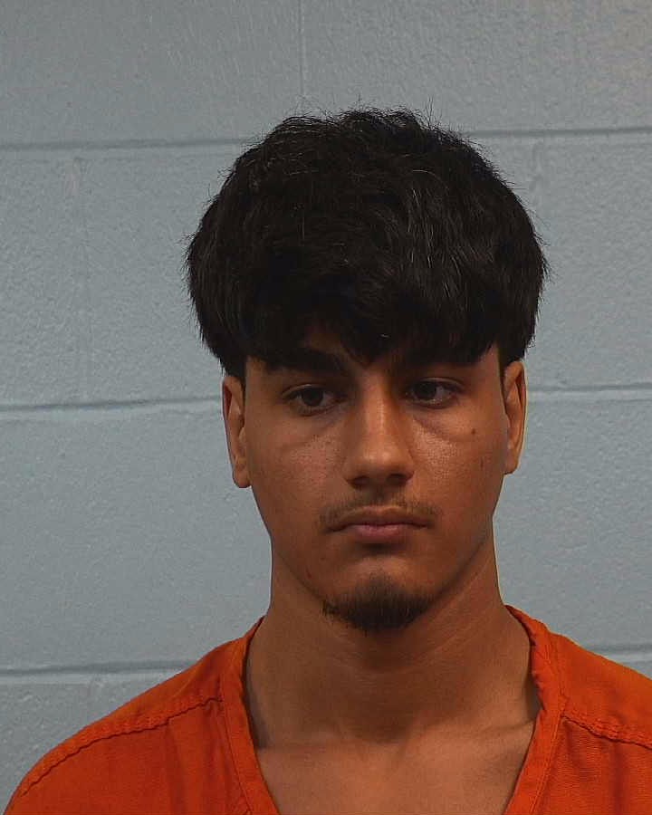 WAHIDY, MOHAMMAD booking photo