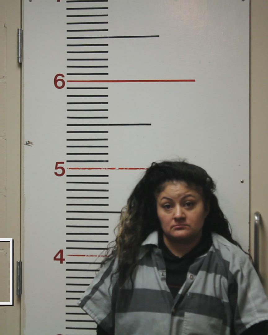 NAGO, LILLY ANN booking photo