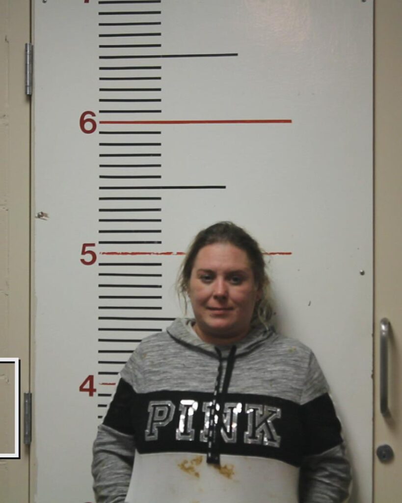 WARDELL, TANA ELIZABETH booking photo