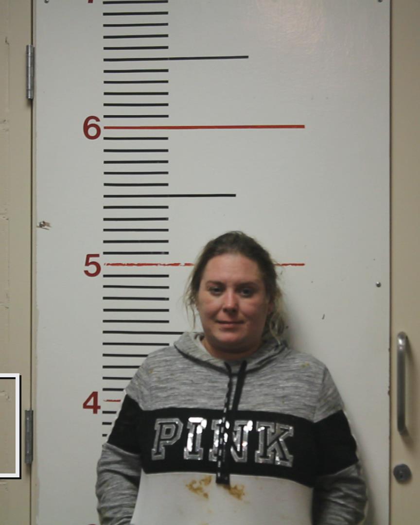 WARDELL, TANA ELIZABETH booking photo