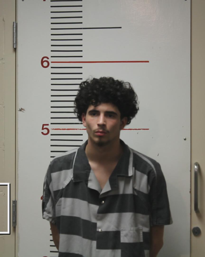 SCHWAB, JOHN CANAAN booking photo