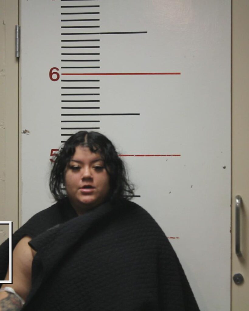 CARMARGO-GARZA, ARACELY booking photo