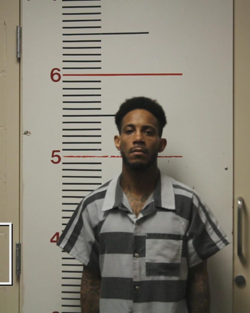 PLUMBER, IGNATIUS LEE booking photo